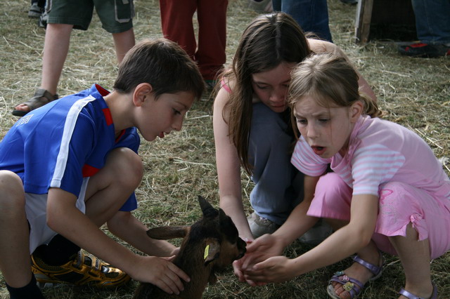 2008_06_08__0196.jpg