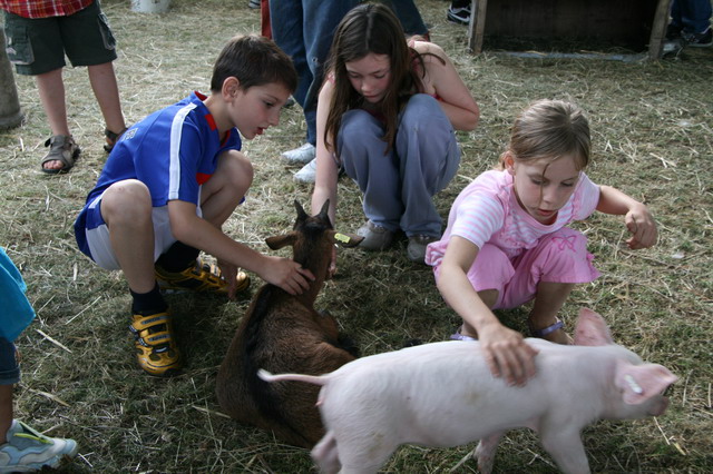 2008_06_08__0197.jpg