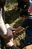 2008_06_08__0188.jpg