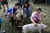 2008_06_08__0197.jpg