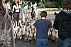 2008_06_08__0207.jpg