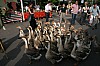 2008_06_08__0208.jpg