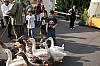 2008_06_08__0211.jpg