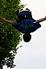 2008_06_08__0276.jpg