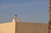 _12_22_djerba_0098_small.jpg