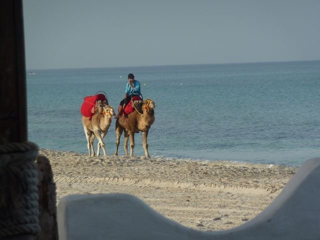 _12_23_djerba_an_0047.jpg