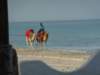 _12_23_djerba_an_0047_small.jpg