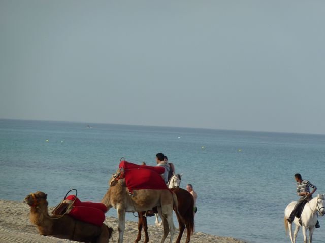 _12_23_djerba_an_0049.jpg