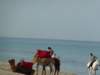 _12_23_djerba_an_0049_small.jpg
