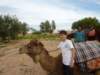 _12_24_djerba_an_0071_small.jpg