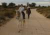 _12_24_djerba_an_0074bis_small.jpg