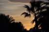 _12_25_djerba_0865_small.jpg