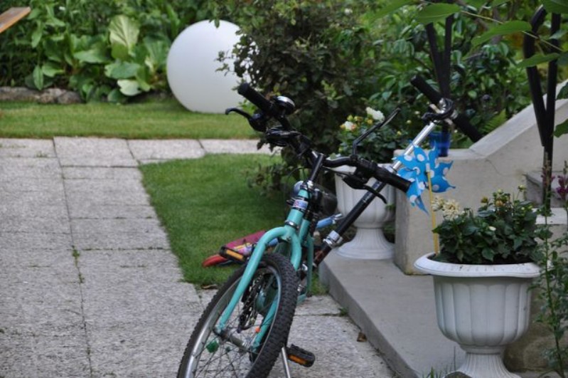 2011_05_14__0017.JPG