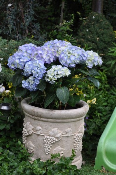 2011_05_14__0038.JPG