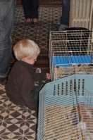 2011_05_14__0091.JPG