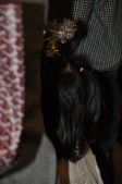 2011_12_11__00404.JPG