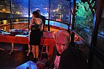 2017-10-21-(21h43)-julian-pascal-0201-(mama-razzi).jpg