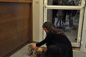 2019-05-04-(19h48)-dsc-0036-(mama-razzi).jpg 2019-05-04-(19h48)-dsc-0036-(mama-razzi).jpg