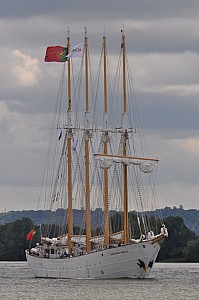 2019-06-16-(13h24)-armada-(mama-razzi)-0075.jpg 2019-06-16-(13h24)-armada-(mama-razzi)-0075.jpg
