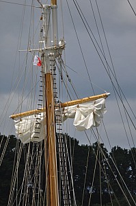 2019-06-16-(13h27)-armada-(mama-razzi)-0088.jpg 2019-06-16-(13h27)-armada-(mama-razzi)-0088.jpg