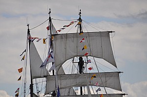 2019-06-16-(15h08)-armada-(mama-razzi)-0154.jpg 2019-06-16-(15h08)-armada-(mama-razzi)-0154.jpg