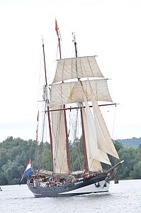 2019-06-16-(15h14)-armada-(mama-razzi)-0174.jpg 2019-06-16-(15h14)-armada-(mama-razzi)-0174.jpg
