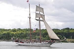 2019-06-16-(15h28)-armada-(mama-razzi)-0219.jpg 2019-06-16-(15h28)-armada-(mama-razzi)-0219.jpg