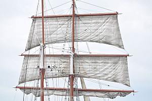 2019-06-16-(15h29)-armada-(mama-razzi)-0222.jpg 2019-06-16-(15h29)-armada-(mama-razzi)-0222.jpg
