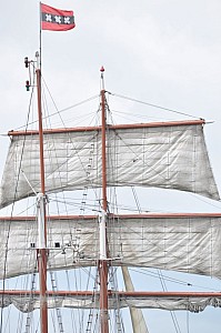 2019-06-16-(15h29)-armada-(mama-razzi)-0223.jpg 2019-06-16-(15h29)-armada-(mama-razzi)-0223.jpg