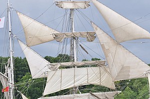 2019-06-16-(15h55)-armada-(mama-razzi)-0291.jpg 2019-06-16-(15h55)-armada-(mama-razzi)-0291.jpg
