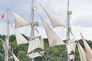 2019-06-16-(15h55)-armada-(mama-razzi)-0293.jpg 2019-06-16-(15h55)-armada-(mama-razzi)-0293.jpg