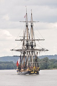 2019-06-16-(15h57)-armada-(mama-razzi)-0300.jpg 2019-06-16-(15h57)-armada-(mama-razzi)-0300.jpg