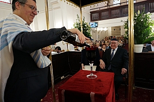 06-2023-03-12-(11h49m)-dsc02241-sony-mama-razzi.jpg