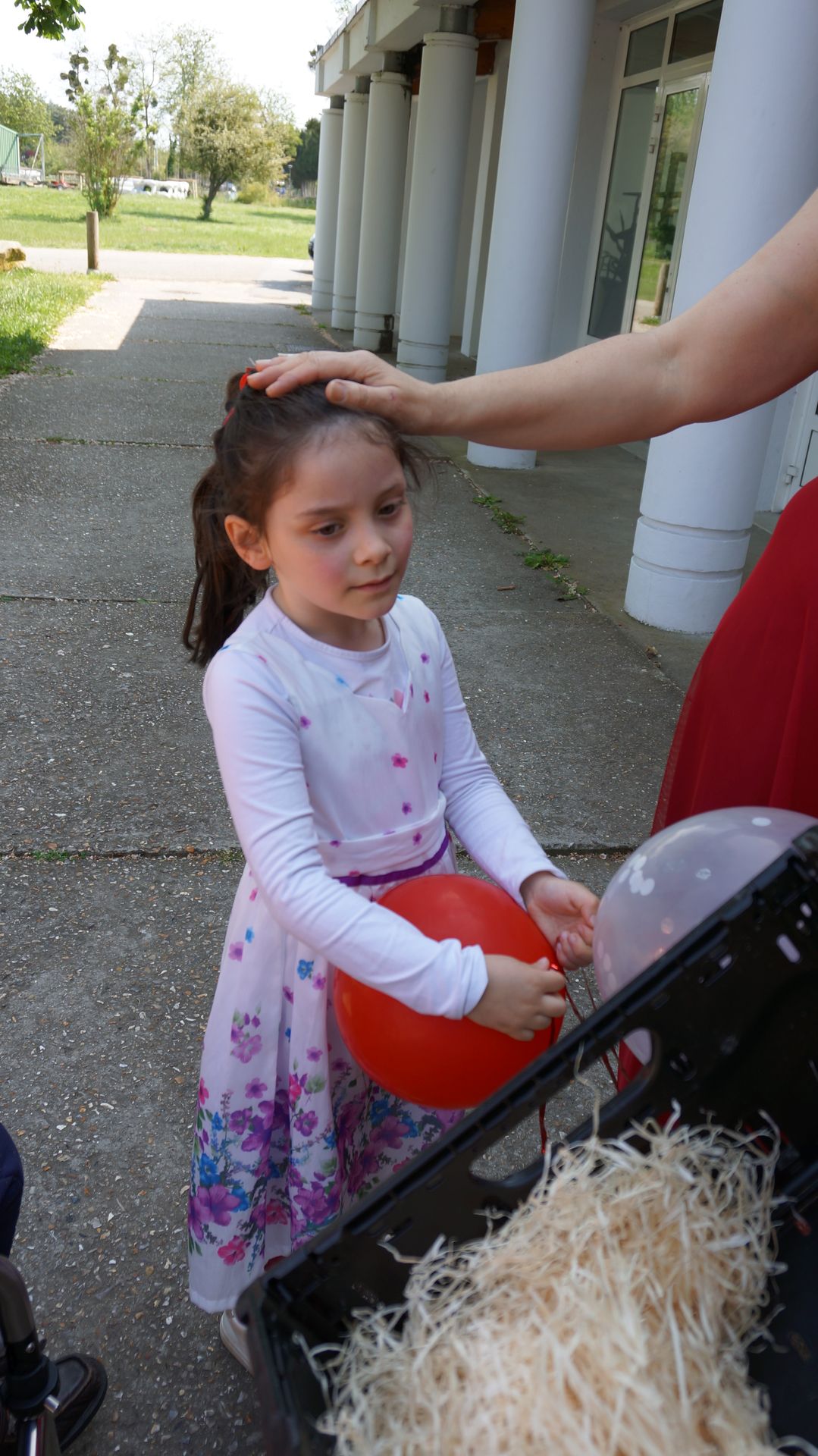 2023-05-18-(15h27m)-dsc04127-mama-razzi.jpg