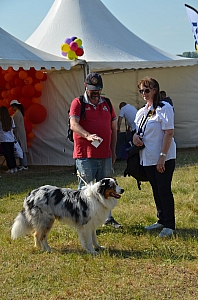 2023-05-25-(17h16m)-dsc_5164-mama-razzi.jpg 2023-05-25-(17h16m)-dsc_5164-mama-razzi.jpg
