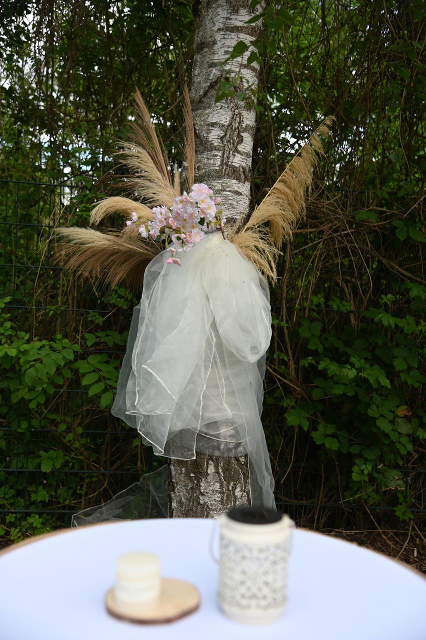 2024-05-04-dsc_6986-marion-gregory-soiree-mariage-mama-razzi.jpg